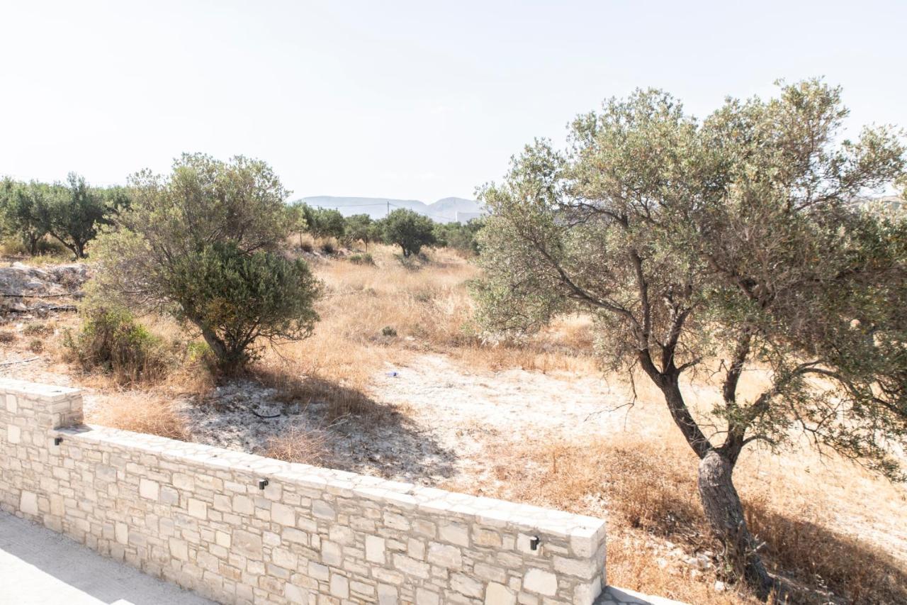 Aeonios Luxury Villa Pitsidia Eksteriør billede