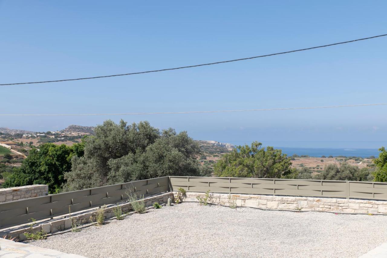 Aeonios Luxury Villa Pitsidia Eksteriør billede
